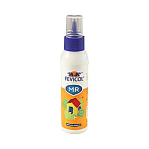 Fevicol Mr 100g White Adhesive