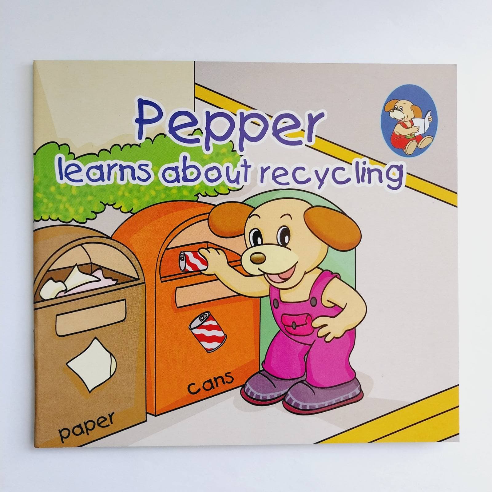 Pepper Learns About Recycling