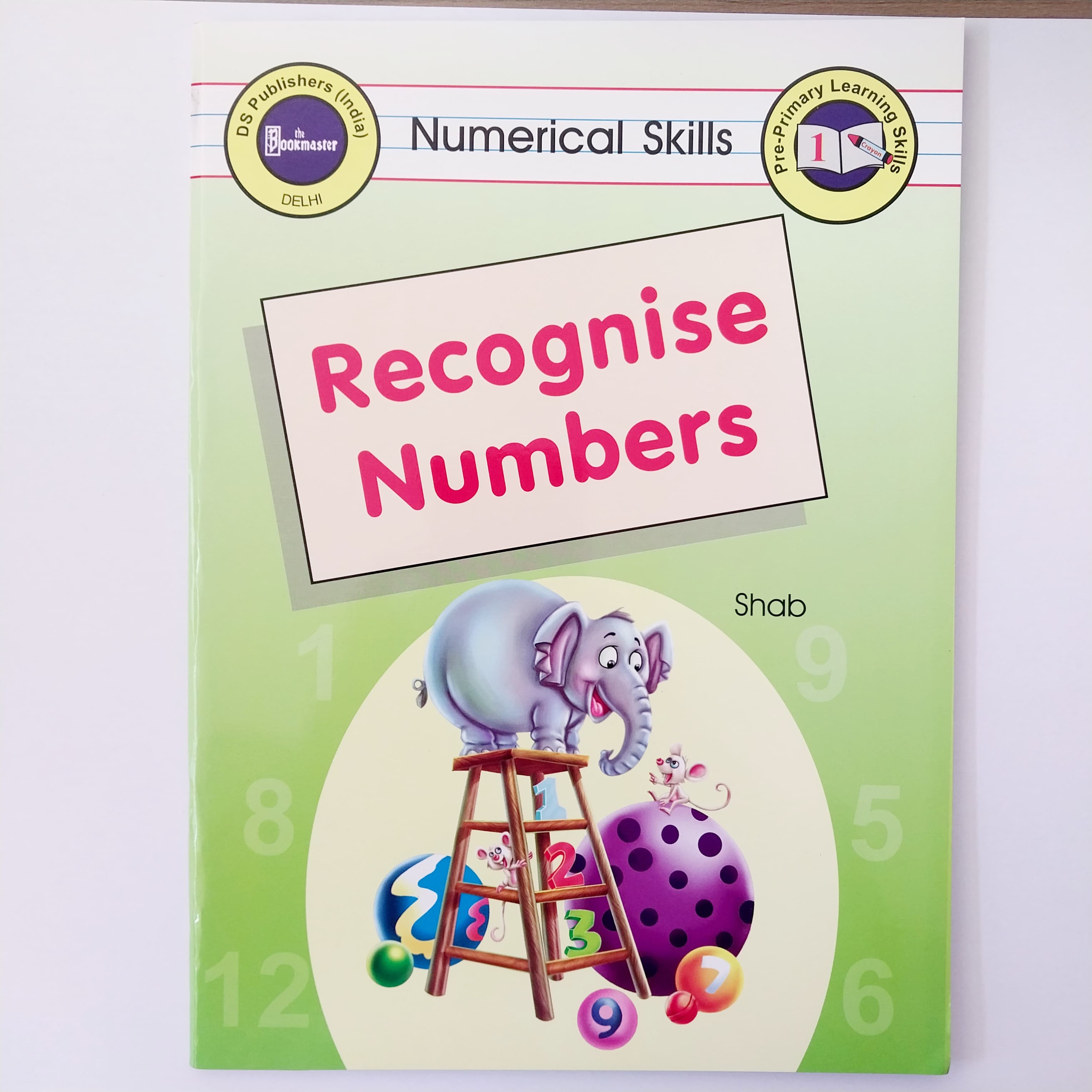 Recognise Numbers DS Publishers