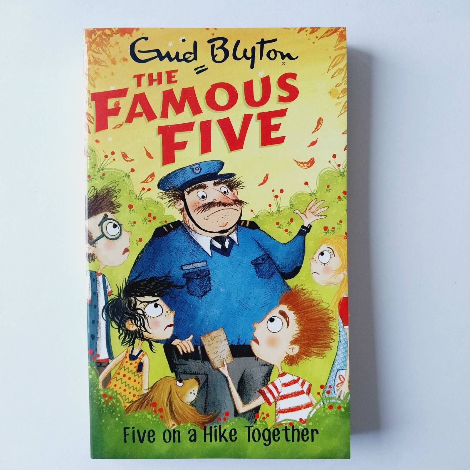 The Famous Five : Five On A Hike Together
