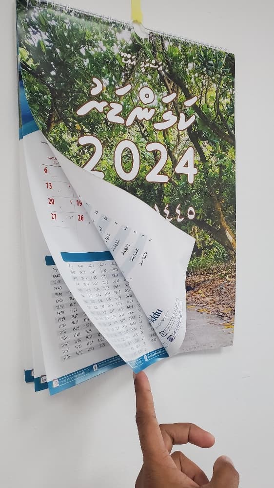 Wall Calendar 2024