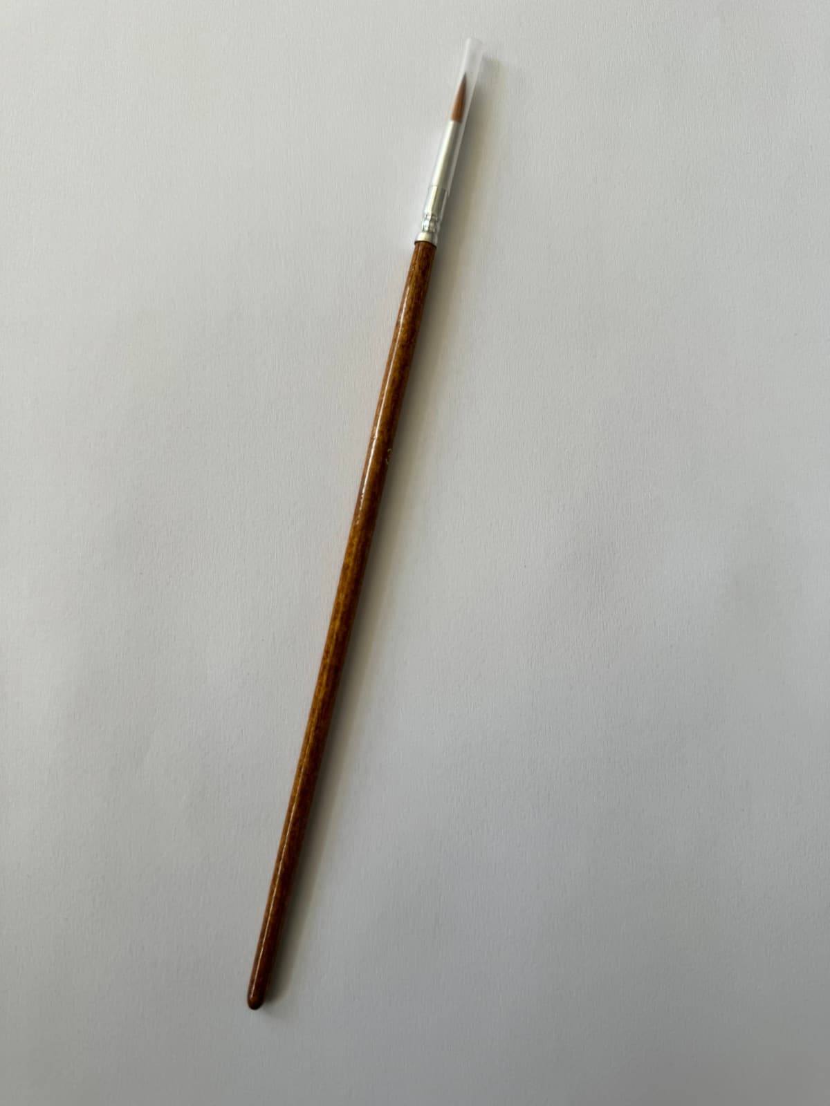 s11455
