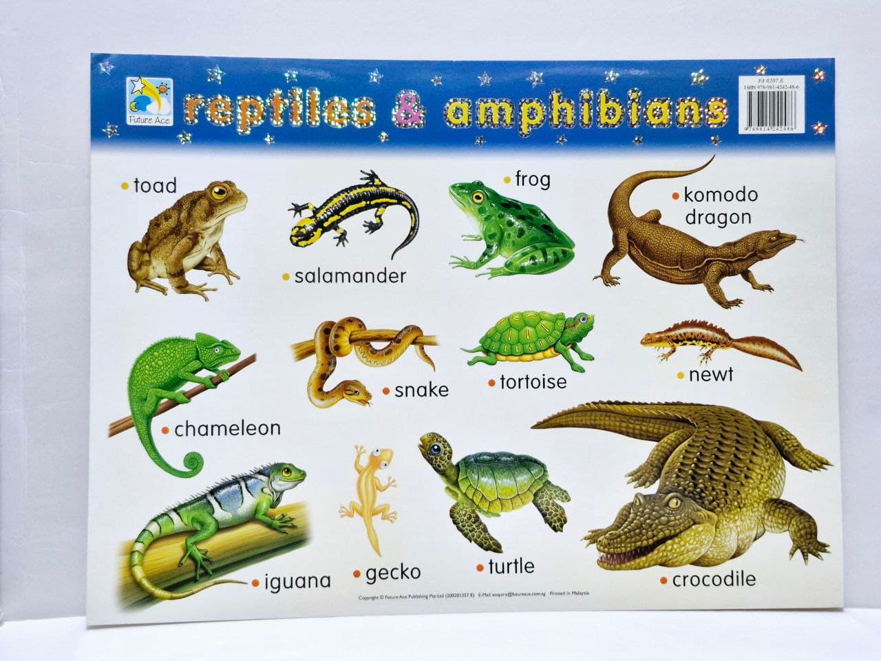 Poster, Reptiles And Amphibians : FA0207E , Future Ace
