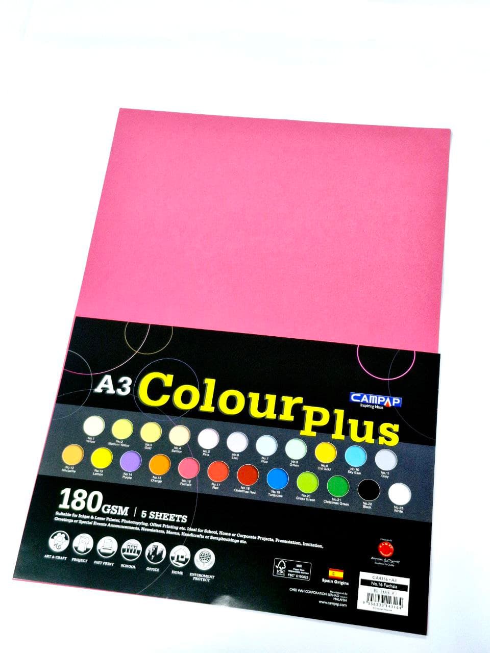 Colour Plus Card A3 Campap CA4316