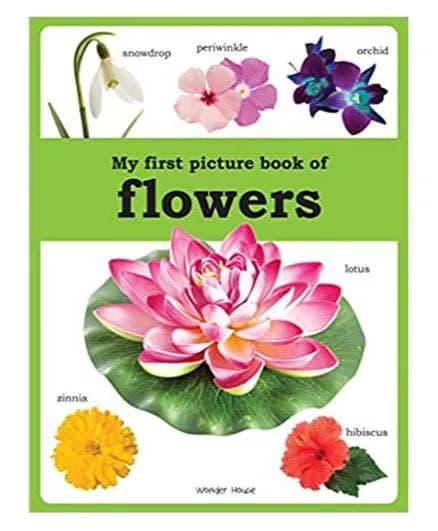 My first picture book of Flowers : Picture Books for Children