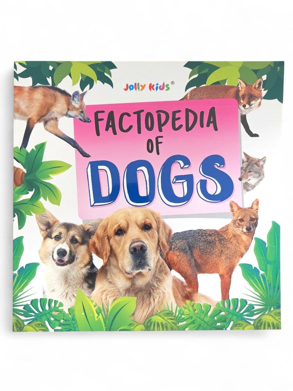 Factopedia of Dogs : Jolly Kids