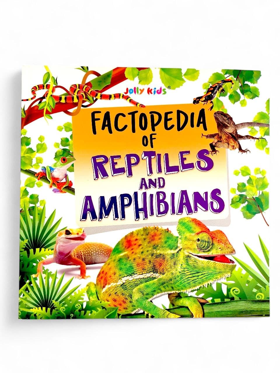 Factopedia of Reptiles and Amphibians : Jolly Kids